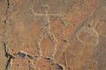 Ancient petroglyphs carved on the stones of Onega lake in Karelia