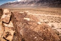 Ancient Petroglyphs at Chalfant Valley in the Eastern Sierra