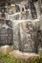 Ancient Petroglyphs Cliff Drawings Ginko Petrified Forest Washington Royalty Free Stock Photo