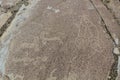 Ancient petroglyphs in Langar village in Wakhan valley, Tajikist