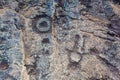 Ancient petroglyphs