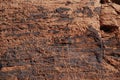 Ancient petroglyphs on red sandstone