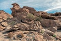 Ancient Petroglyphs on the Rocks at Yerbas Buenas in Atacama Desert, Chile, South America