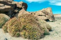 Ancient Petroglyphs on the Rocks at Yerbas Buenas in Atacama Desert, Chile, South America