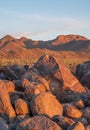 Ancient petroglyphs on Signal Hill in Tucson