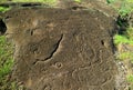 Ancient Petrogryphs of Many Hooks Called Papa Mangai and an Octopus or Crab at Papa Vaka Archaeological Site, Easter Island, Chile