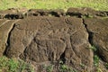 Ancient Petrogryphs of Tuna and Shark Called Papa Mango at Papa Vaka Archaeological Site, Easter Island, Chile