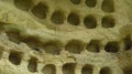 Ancient Pigeon Holes in Remote Area of Cappadocia`s Landscape Royalty Free Stock Photo