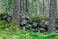 Ancient Piles of Stones in the Forest Making up a Wall