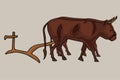 Ancient plough and oxen team Royalty Free Stock Photo