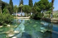 Ancient pool in Pamukkale. Royalty Free Stock Photo