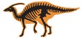 Ancient predator skeleton. Prehistoric reptile. Dinosaur silhouette