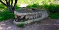 Ancient prehispanic crocodile made of stone