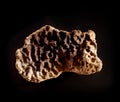 An ancient prehistoric piece of mammoth bone isolated on black background. Fifty thousands years old paleontology fossil