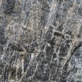 Ancient Primitive Rock Carvings on Black Stone