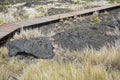 Pu`u Loa Petroglyphs. Volcanoes National Park, Big Island Hawaii Royalty Free Stock Photo