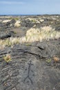 Pu`u Loa Petroglyphs. Volcanoes National Park, Big Island Hawaii Royalty Free Stock Photo