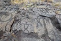 Pu`u Loa Petroglyphs. Volcanoes National Park, Big Island Hawaii Royalty Free Stock Photo