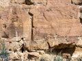 Ancient Puebloan Rock Art