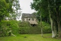 The ancient pyramid of the Mayan civilization in Tikal, Guatemala