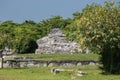 An ancient pyramid mayan structure in middle of the jugle Royalty Free Stock Photo