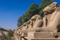 Ancient Ram Headed Sphinx statues at Karnak Temple Complex near Luxor Royalty Free Stock Photo