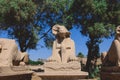 Ancient Ram Headed Sphinx statues at Karnak Temple Complex near Luxor Royalty Free Stock Photo