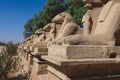 Ancient Ram Headed Sphinx statues at Karnak Temple Complex near Luxor Royalty Free Stock Photo