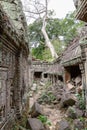 Ancient remains of Preah Khan temple, Siem Reap, Cambodia, Asia Royalty Free Stock Photo