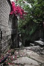 Ancient road, blue brick and red flowers