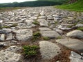 Ancient road paved with cobblestone and going up through hills. Royalty Free Stock Photo