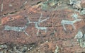 Ancient rock paintings