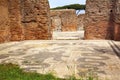 Ancient Roman Baths Neptune Mosaic Ostia Antica