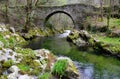 Polea roman and bridge, Villayon municipality, Asturias, Spain Royalty Free Stock Photo