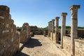 Ancient Roman Columns building ruin