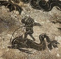 Ancient Roman Cupid Dolphin Mosaic Ostia Italy