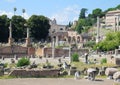 Ancient Roman Forum ruins in Rome