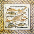 Ancient roman mosaic with different fish