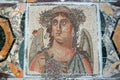Ancient Roman mosaic representing Autumn Royalty Free Stock Photo