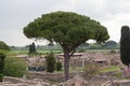The Ancient Roman Port of Ostia Antica, Province of Rome, Lazio, Italy