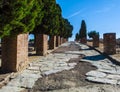 Ancient Roman road in Italica
