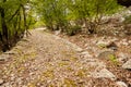 Ancient roman road near Beli Royalty Free Stock Photo