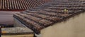 Ancient roof with Sedum plants Royalty Free Stock Photo