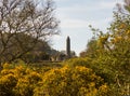 The ancient round tower in the cemetery at the historic Glendalough Monastic Site in County Wicklow in Ireland Royalty Free Stock Photo