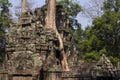 Ancient ruin of Ta Prohm temple, Angkor Wat complex, Siem Reap, Cambodia. Tree grows from temple ruin. Royalty Free Stock Photo