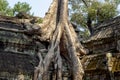 Ancient ruin of Ta Prohm temple, Angkor Wat complex, Siem Reap, Cambodia. Tree roots in temple ruin. Royalty Free Stock Photo