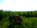 Ancient Ruin View with spanish building fragment Royalty Free Stock Photo