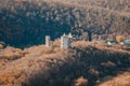 Ancient ruined castle in the woods. Mystical building. Impassable thickets of shrubs Royalty Free Stock Photo