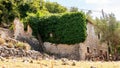 Ancient ruined old stone house with green vine plant on walls and garbage on land