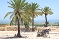 Ancient ruined Palace and buildings in Israel